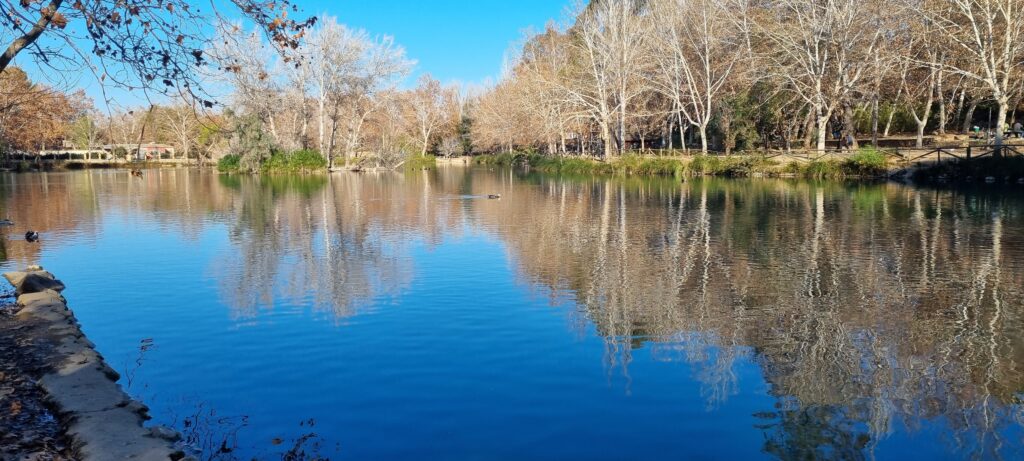 Laguna Alhambra
