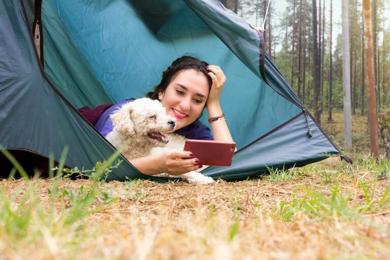 camping con mascotas